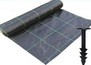 Wholesale Durable Heavy Duty Weed Control Membrane , High Strength Black Weedblock Landscape Fabric from china suppliers