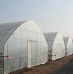 High Quality Clear UV Resistant Greenhouse Film Plastic Agriculture For