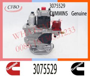 Wholesale 3075529 Diesel Pump for Cum-mins KTA50-GS8 K38 KTA38 Engine PT Fuel Injector 3075529 3075537 3201909 3041494 3075529 from china suppliers