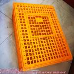 Poultry Carrier Crate Chicken Transport Cage Bird Chicken Carrier Travel Crate
