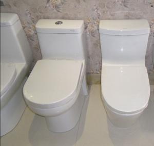 Wholesale Bathroom sanitary ware wc toilet &amp; Siphonic one piece ceramic toilet bowl from china suppliers