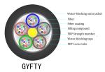 Non Metallic Armid Yarn Layer Gyfty Duct Fiber Optic Cable 24 Core