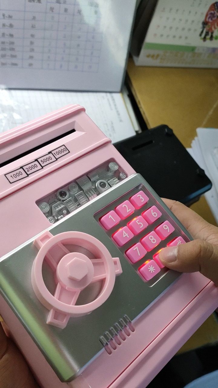 2 color Password Piggy Bank
