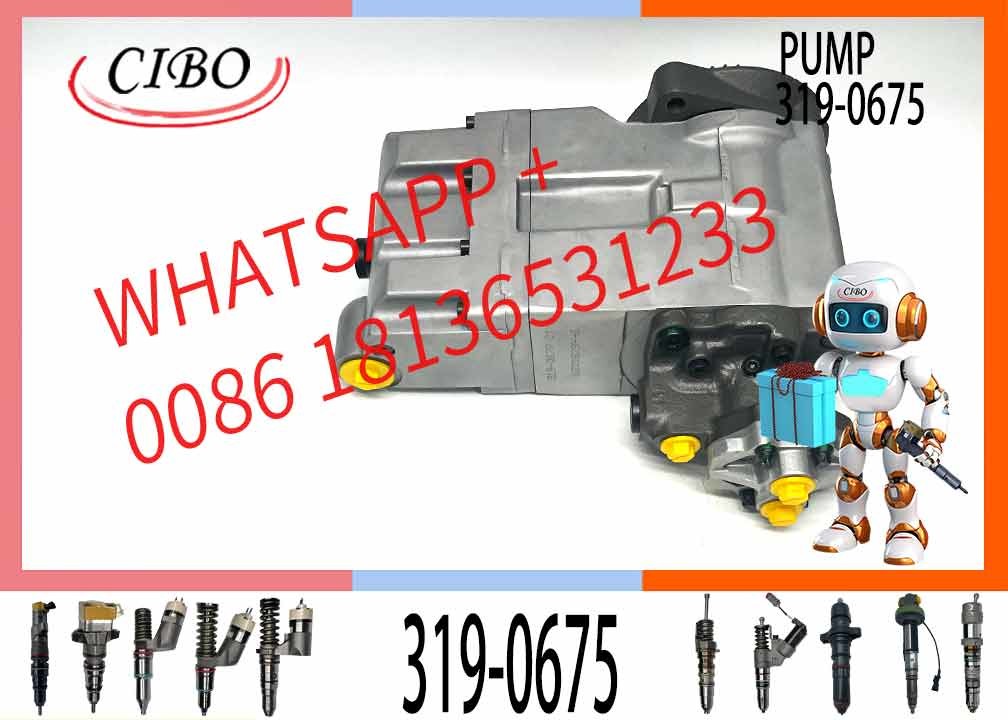 319-0675 3190675 C-9 C9 Engine Fuel Injection Pump 10R8897 for 330C Excavator