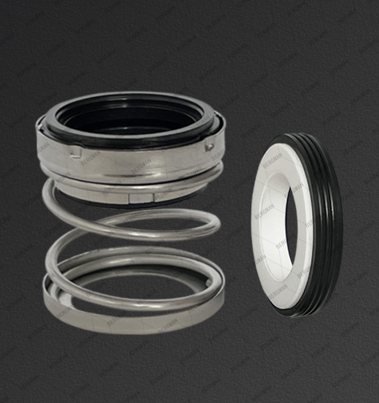 BERGMAN BIA-10 12 14 15 16 18 19 20 22 25 28 30 32 35-90mm Pump Mechanical Seal