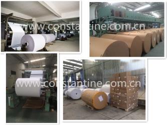 Constantine Enterprise Limited
