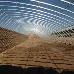 Film Cover Passive Solar Greenhouse for Sustainable Flower and Vegetable
