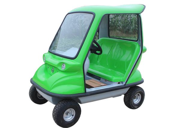 350 W DC Motor Electric Sightseeing Car With Double Seats Green Lead Acid