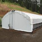 Agriculture Hot Dip Galvanized Steel Framework Panda Film Greenhouse Mushroom
