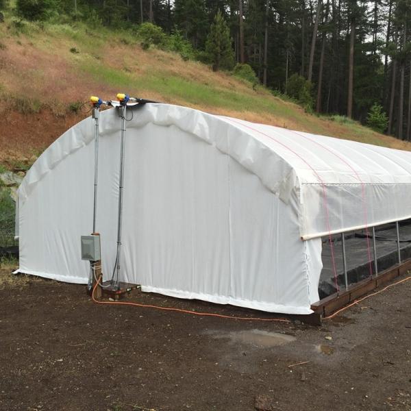 Agriculture Hot Dip Galvanized Steel Framework Panda Film Greenhouse Mushroom