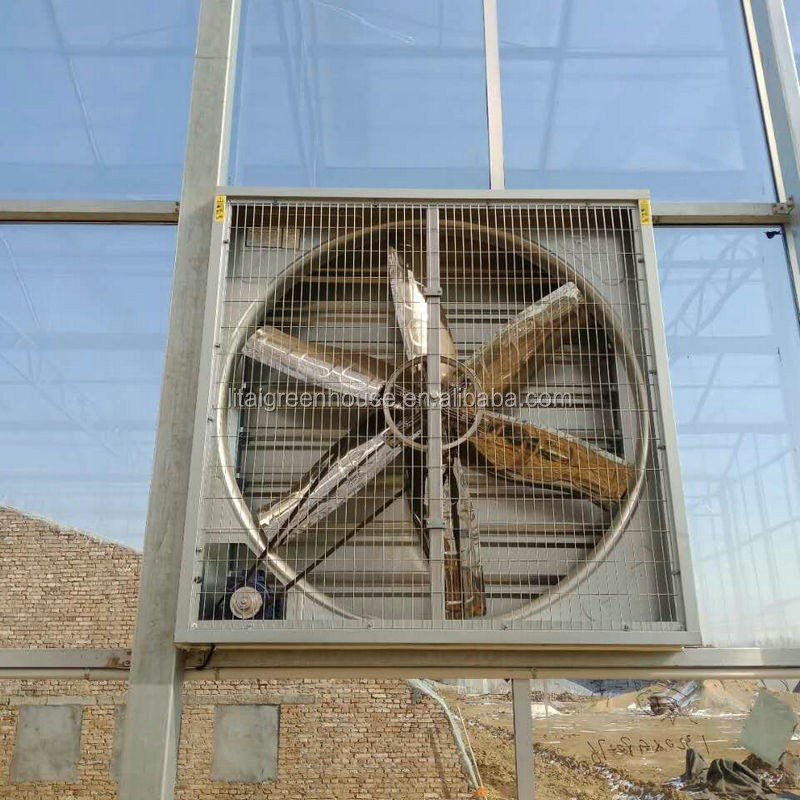 Smart Controlled Safe Glass Greenhouse for Vegetable Fruits Flowers Top Height 4.8m-6.8m