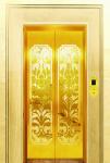 VVVF Driving 6 Persons MRL Elevator 25m Machine Room Less Lift