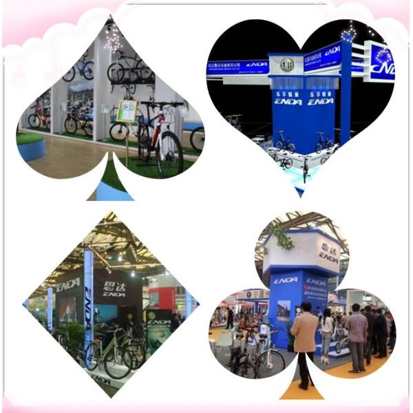 Offroad 20" Fat Tyre Folding Electric Bike With Tektro Disc Brake