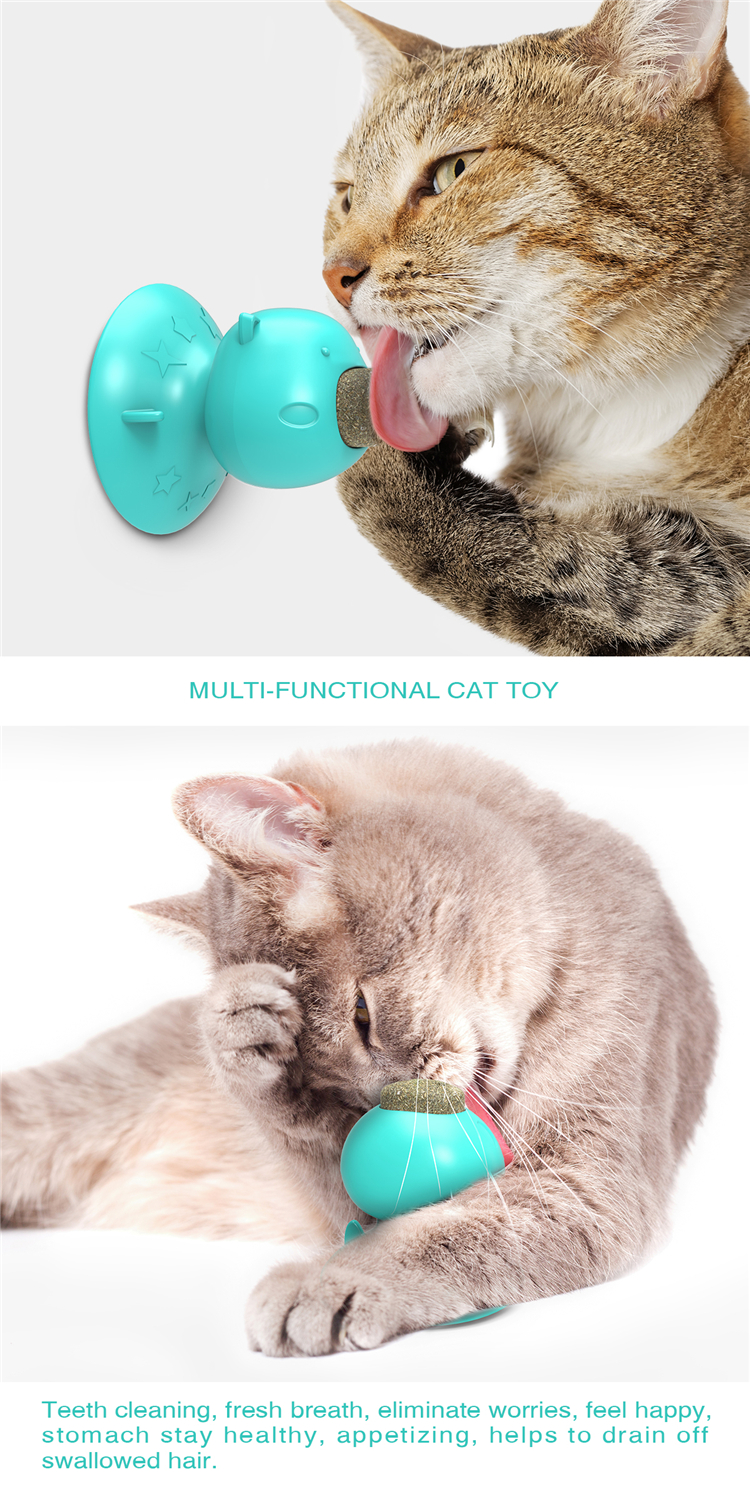 Hot Selling Custom Pet Chew Toys Cat Toys Teeth Cleaning Multifunction Catnip Toys