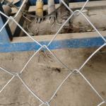 China Manufacture Quality Chain Link Fence Double Swing Gate Stainless Steel