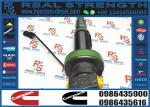 2881089 2882130 Diesel Fuel Injector F00BJ00008 F00BJ00009 0986435616 0986435905