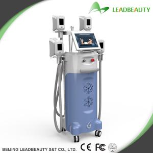 Wholesale Newest professtional stubborn fat loss mahcine Cryolipolysis from china suppliers