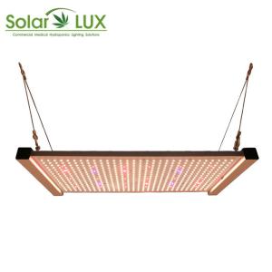 Wholesale Full Spectrum Osram 730nm 2x2 Led Grow Light from china suppliers