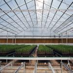 30x100ft Single Span Greenhouse Light Deprivation System Blackout Greenhouse For