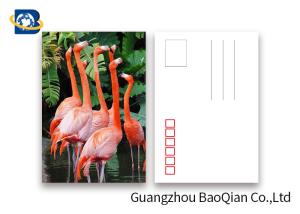 Wholesale Promotion Cartoon 3d Lenticular Postcard / Flip Lenticular Image Printing from china suppliers