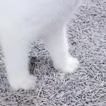 Deodorizing Activated Carbon Cat Litter Grey Biodegradable Tofu Cat Litter