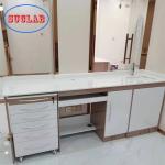 New Design Stainless Steel Frame Epoxy Resin Powder Corrosion Resistance Dental