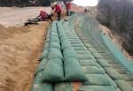 100% PP White Geotextile Geobag Non Woven Geotextile Fabric Bags For River Bank