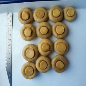 Wholesale Brine Preservation Seasoned Canned Champignon Mushroom For Bakery / Supermarket from china suppliers