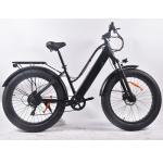 48V Fat Tire Electric Bike Hunting , 20 Mph E Bike For All Terrain