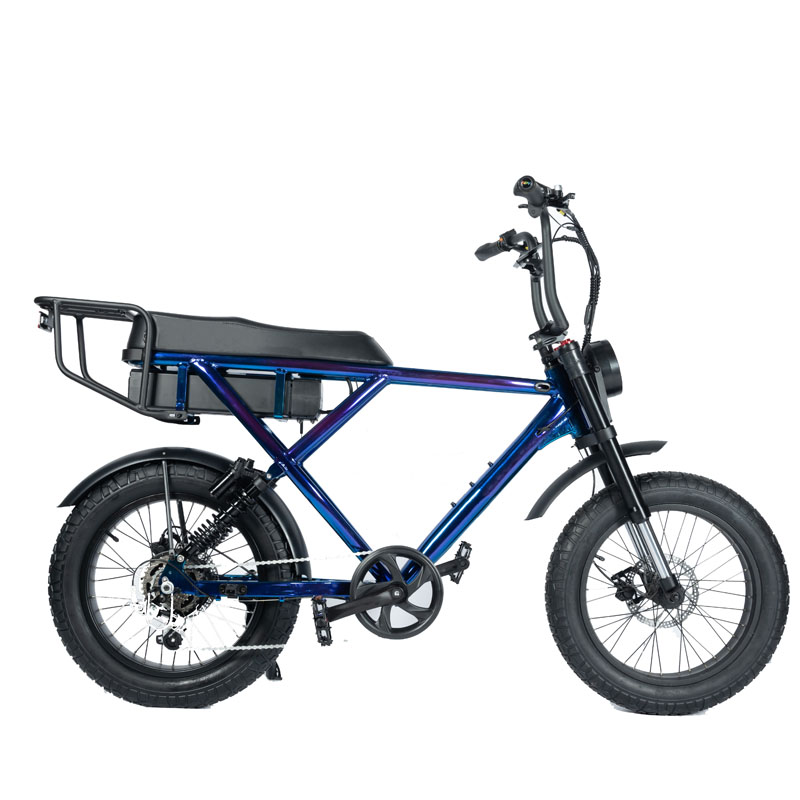 48V 20 Ah Fat Tyre Electric Bike for Customized Blue Beach Bikes Cruisers