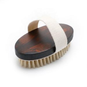 Wholesale Smell Removing Bath Shower Brush Exfoliation Scrubber Bath Brush from china suppliers