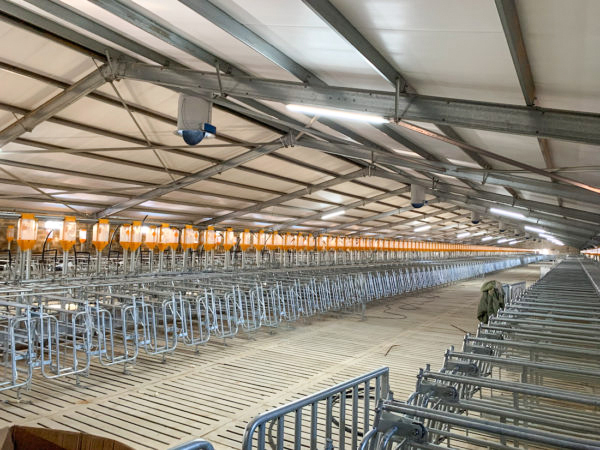Painted Prefabricated Cow Shed Steel Structural Fabrication Construction For Horse Stable