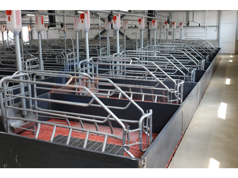 Q235B/Q345B Low Carbon Steel Structure Prefabricated Pig House