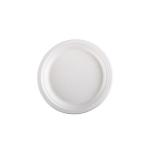 Disposable Degradable Pulp Plate Bowl Lunch Box 9 Inch Sugarcane Paper Plate