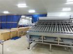 Fully automatic food grade stainless steel shrimp 18-roller drum grader