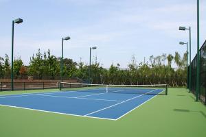 Wholesale All Weather Suitable Acrylic Tennis Court Paddle Tennis Court Assembled from china suppliers