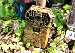 Wholesale 3G Email Wireless Hunting Trail Cameras 0.7s Trigger Speed 16MP 1080P Image Resolution from china suppliers