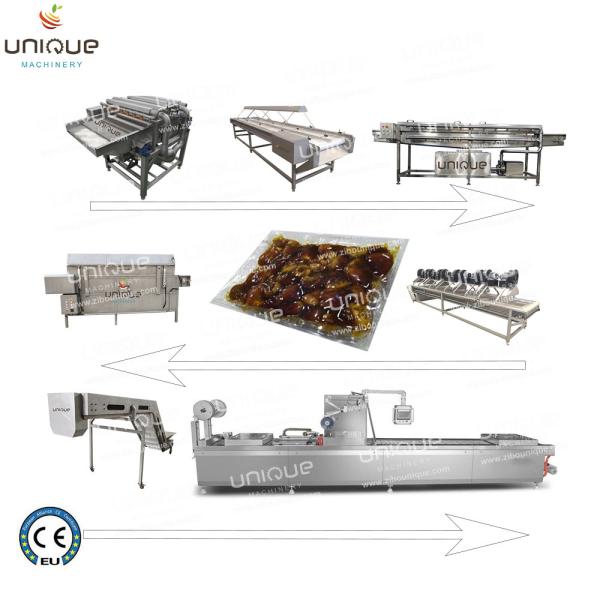 Restaurant Palm Dates Washing Machine with Selecting Conveyor in Stainless Steel