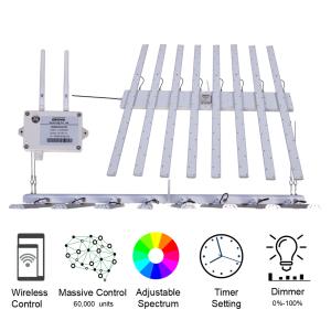 Wholesale Cannabis Cultivation Smart Led Grow Light For Veg And Flower 3 Years Warranty B8-12S from china suppliers