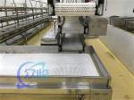 Stainless Steel Fish Processing Machine Anti Corrosion 380V 50Hz