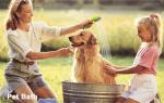 Outdoor Portable Shower Water Filter 2200mAh Rechargeable Camping Shower