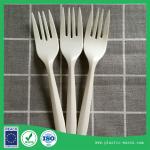 Biodegradable Picnic Disposable Fork