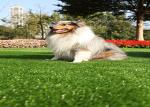 Waterproof Landscape Garden Pet Artificial Turf Fake Grass Carpet Long Lifespan