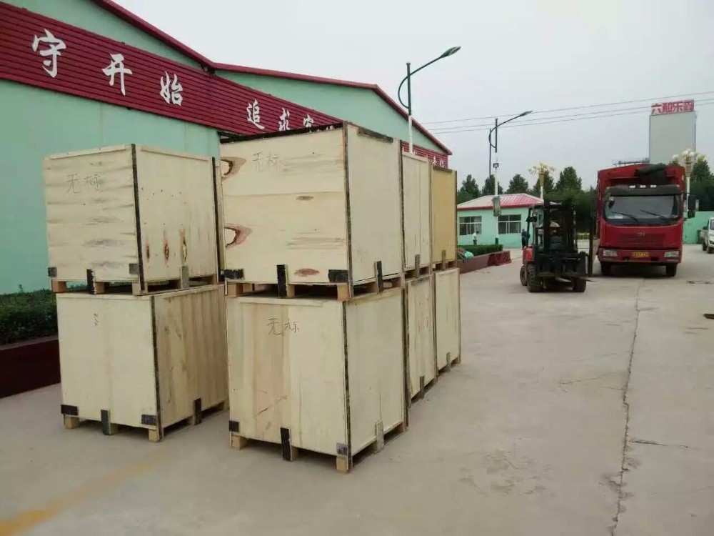 3KW 40Kg/h Peanut Oil Press Machine Steel Mustard Oil Extract 220V