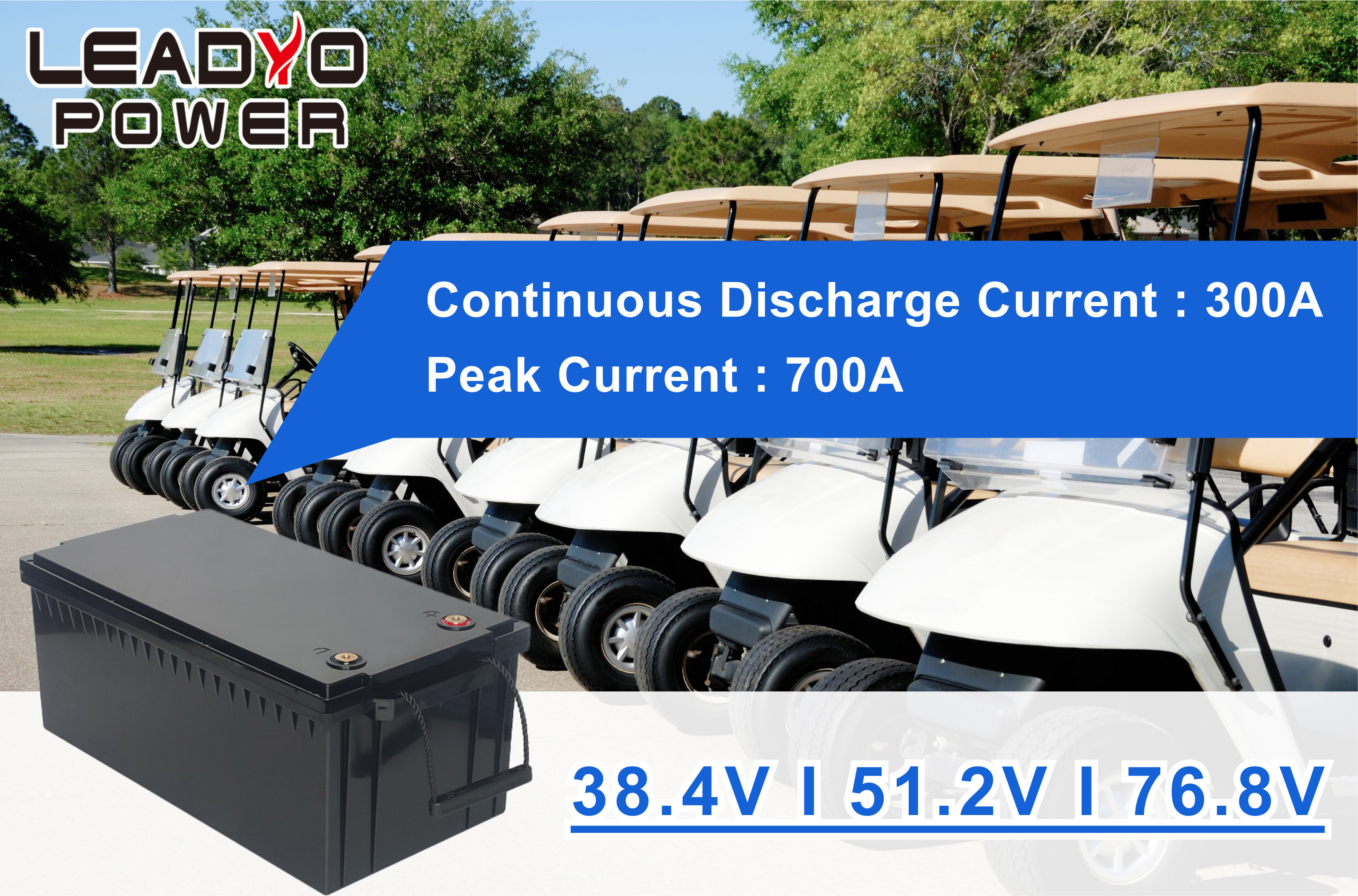 Lightweight Lithium LiFePo4 Battery , 48V 100Ah 105Ah Electric Golf Cart Batteries