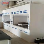 OEM Eco-Friendly Full Steel Strong Chemical Resistance Lab Fume Hood Specificati