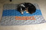 winter turthleneck Knit Pet dog sweater, pet dog clothes free knitting pattern,