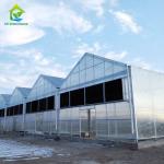 Automatic Agricultural Blackout Polycarbonate Light Deprivation Greenhouse