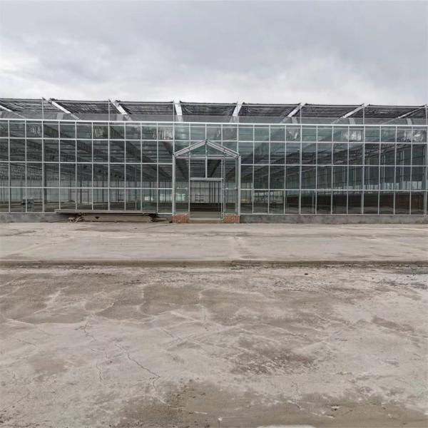 Complete Vegetables Growing Multi-span Greenhouse Fiberglass Glass Agricultural
