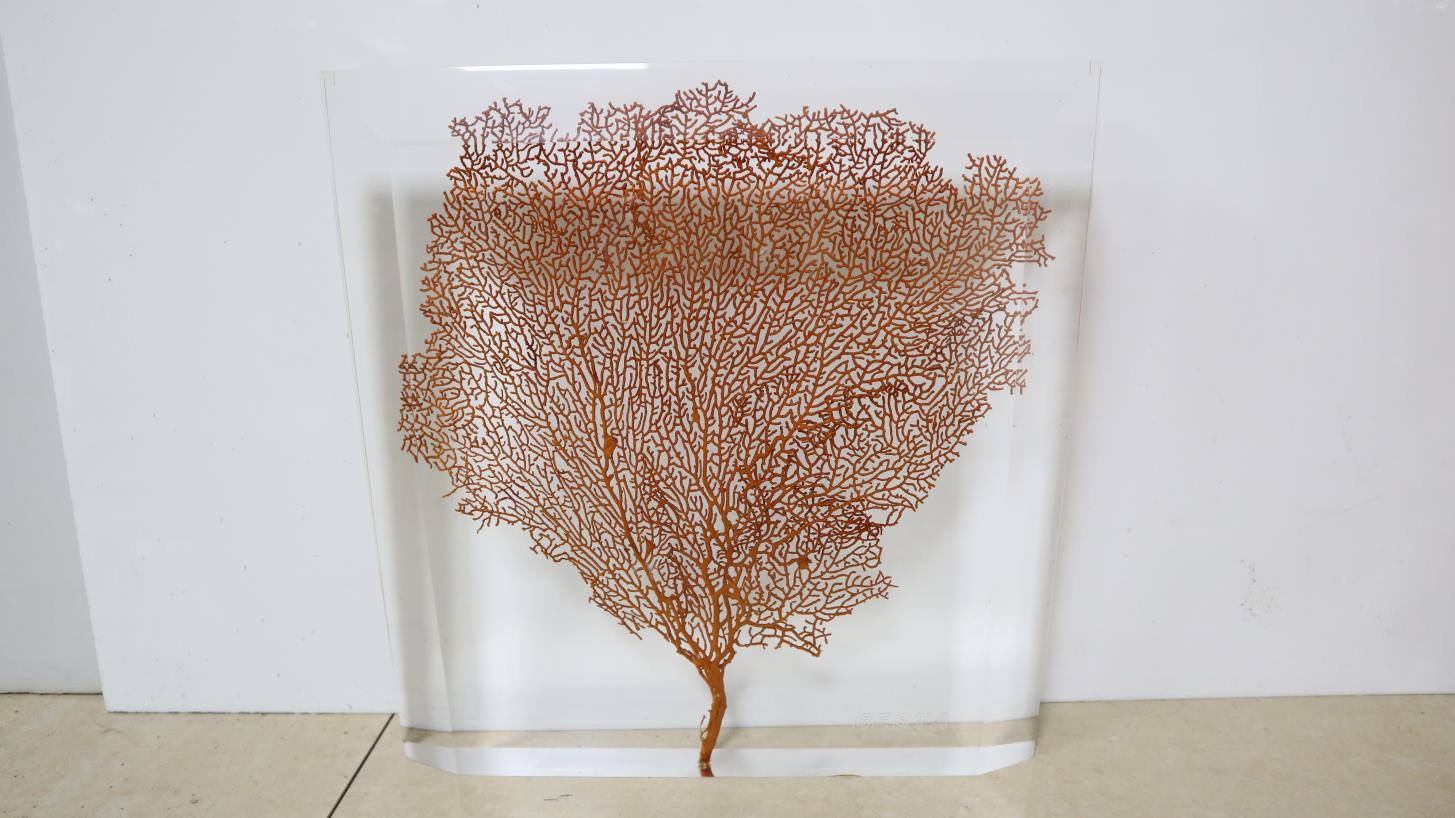 Commercial 1mm 10mm Transparent Acrylic Sheets High Light Transmission
